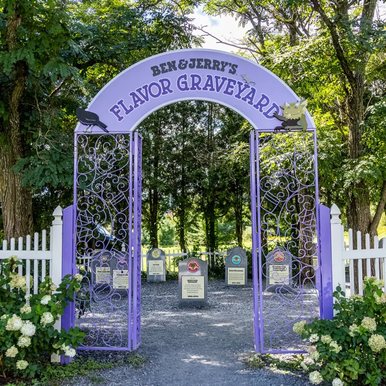 ben jerry flavor tour 768x768