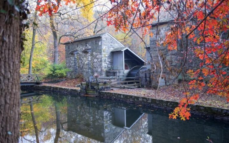 hagley birkenhead fall print museum tour 768x480