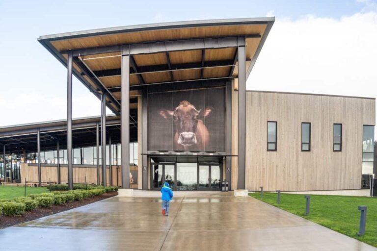 tillamook cheese factory tour 768x512