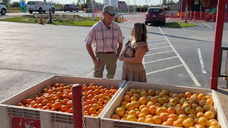 als citrus tour 768x432