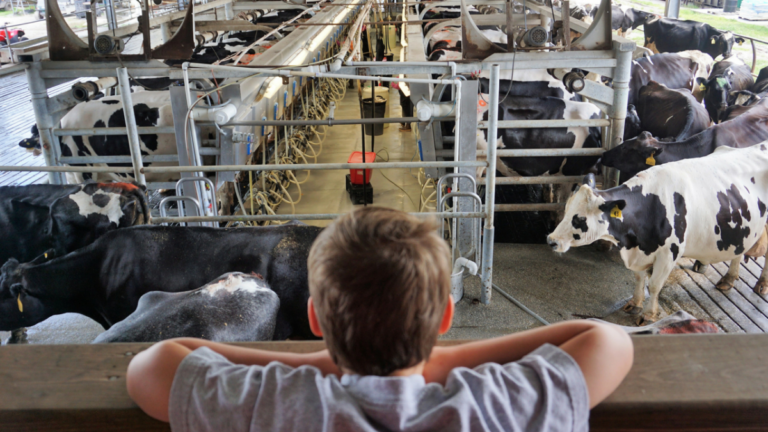 dakin dairy farms tour florida 768x432