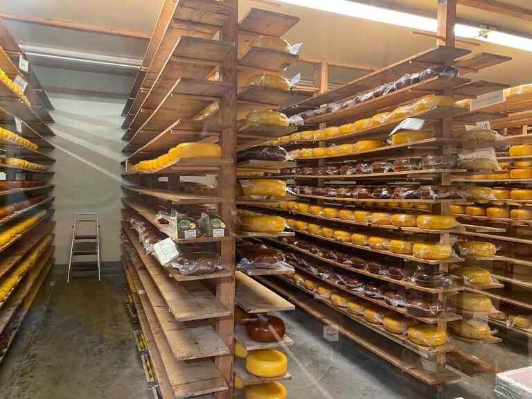 oakdale cheese visit 768x576