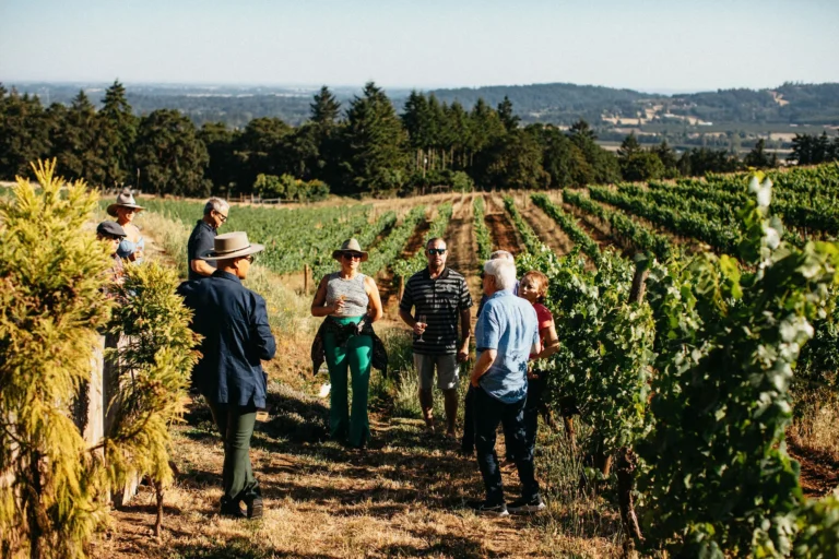 orengon vineyard adelsheim tour 768x512