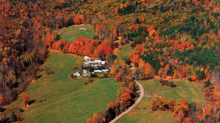 sugarbush farm tour 768x432