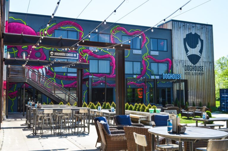 brewdog doghouse brewery visit 768x509