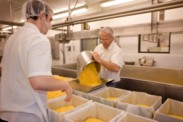 cedar grove cheese factory tour 768x512