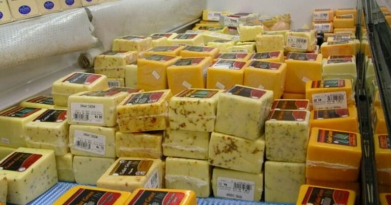 cedar grove cheese tour 768x403