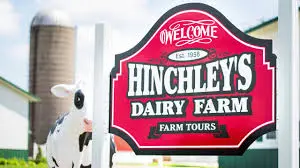 hinchleys dairy farm tour