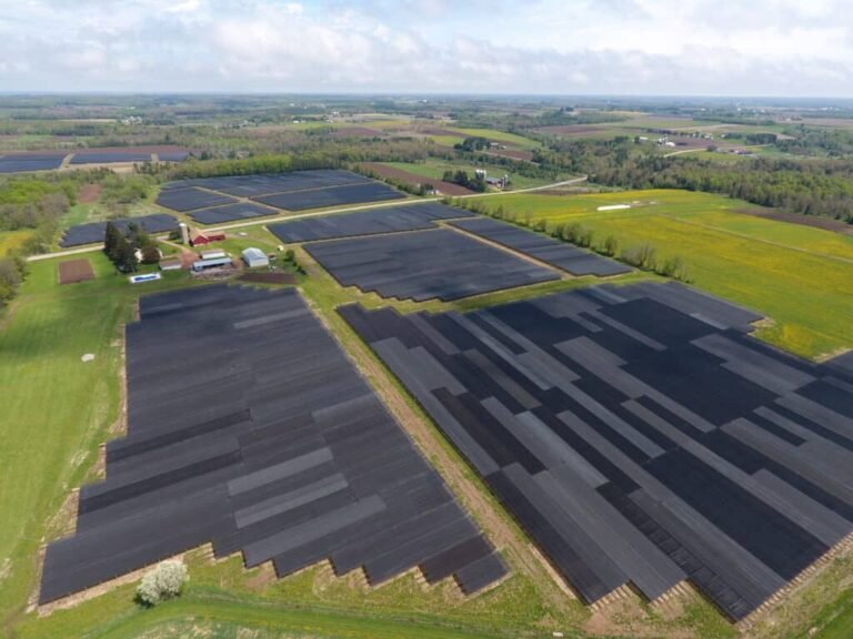 hsus ginseng farm 768x576