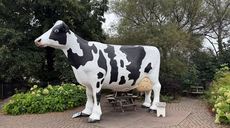 jilbert dairy tour 768x427