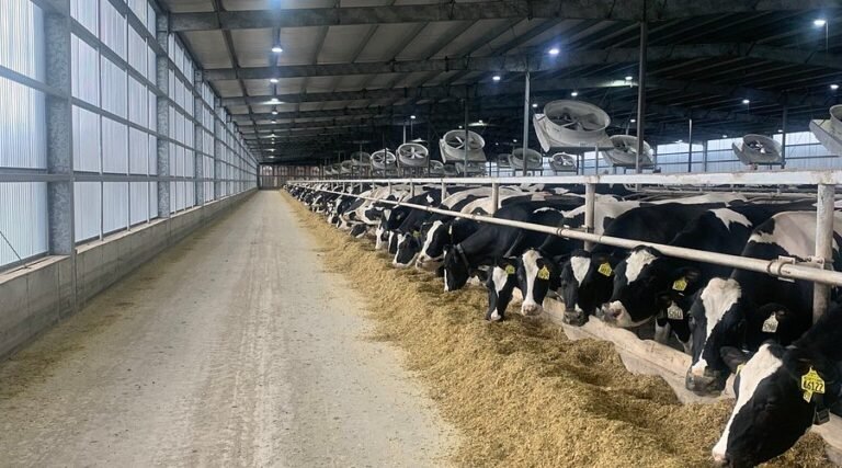 mvp dairy farm visit 768x427