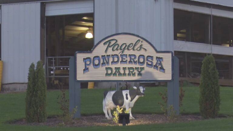 pagels ponderosa dairy farm 768x432