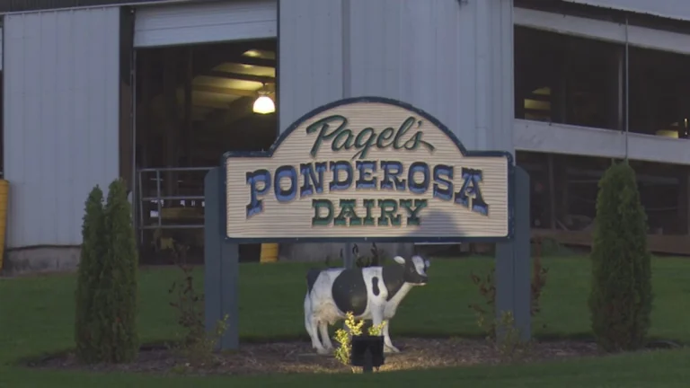 pagels ponderosa dairy farm 768x432