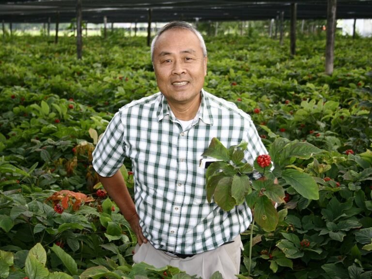 paul hsu of the hsu ginseng farm 768x576