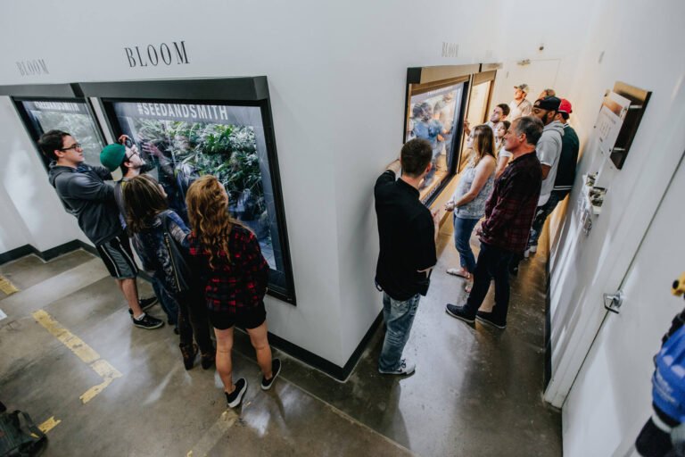 seed smith cannabis tour 768x512