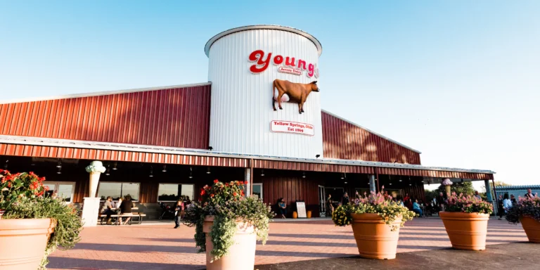youngs jersey dairy ice cream tour 768x384