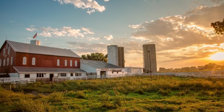 youngs jeryse dairy factory tour 768x384
