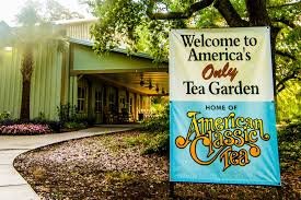 americas tea garden charleston