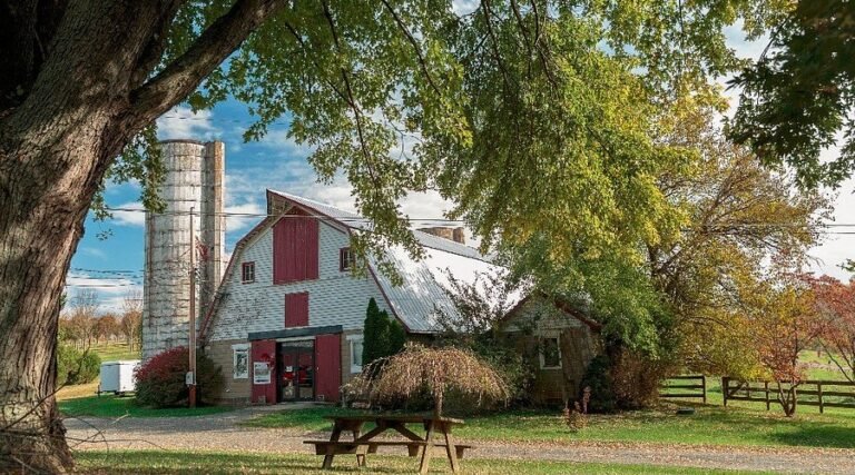 art of fire glassblowing studio 768x427