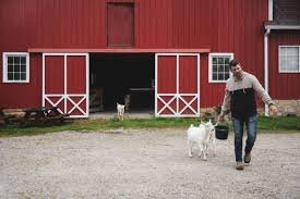 baetje farms creamery tour