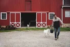 baetje farms creamery tour