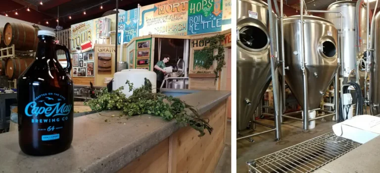 cape may brewery tour 768x351