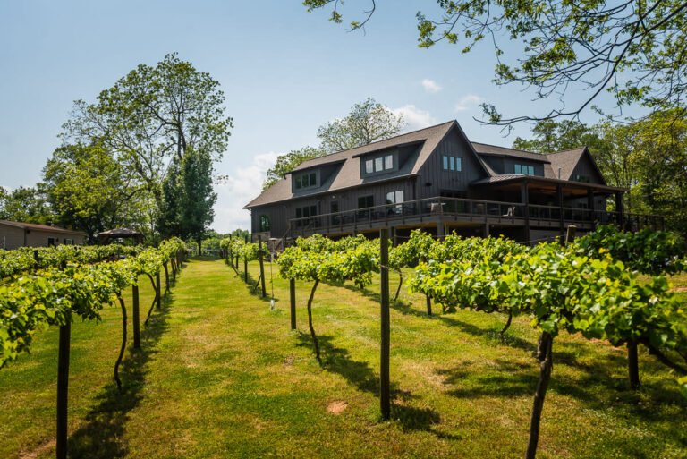 city scape winery tasting tour 768x513