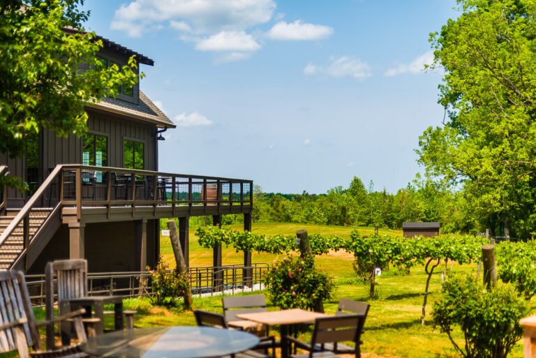 city scape winery tour 768x513