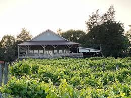 enoree river vineyard tour