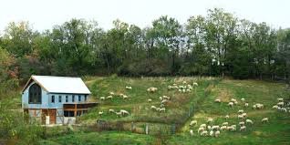 green dirt farm tour