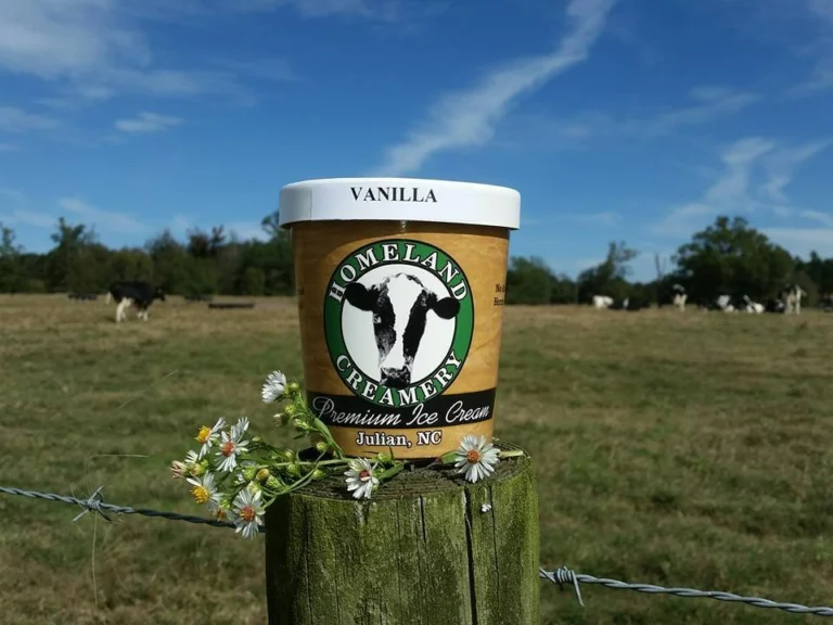 homeland creamery ice cream tour 768x576