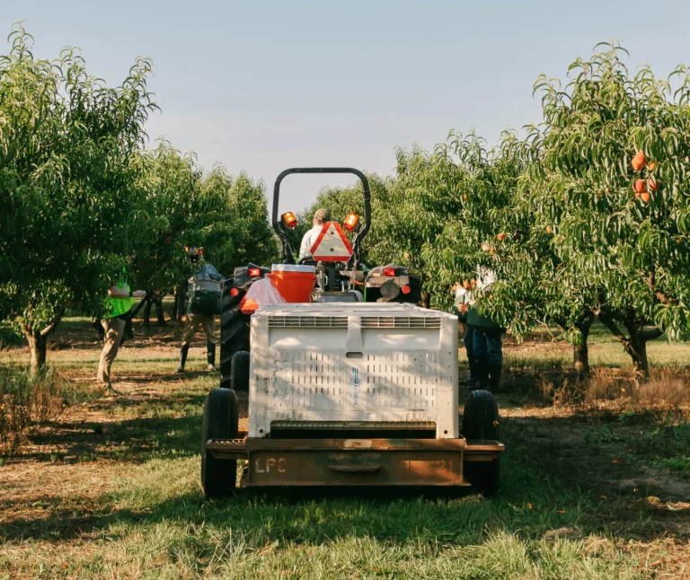 lane southern orchards farm tour 768x646