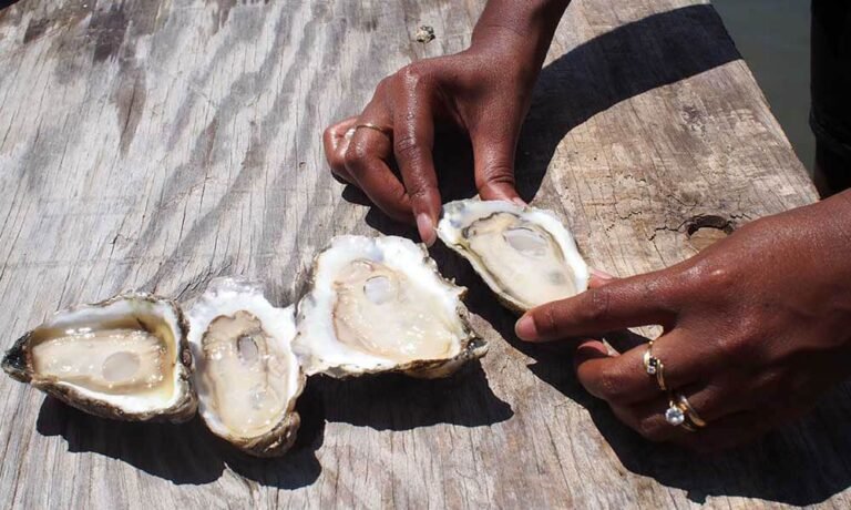 please house oyster farm tour virginia beach 768x460
