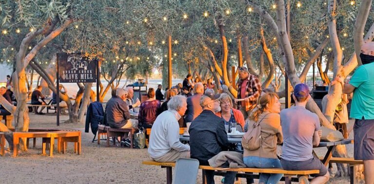 queen creek olive mill tasting 768x378