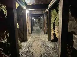 reed gold mine tunnels