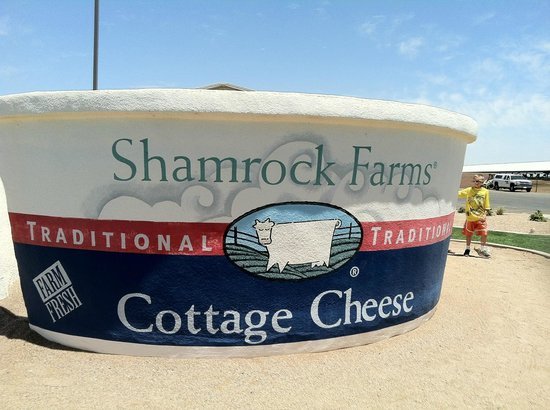 shamrock farms dairy tour