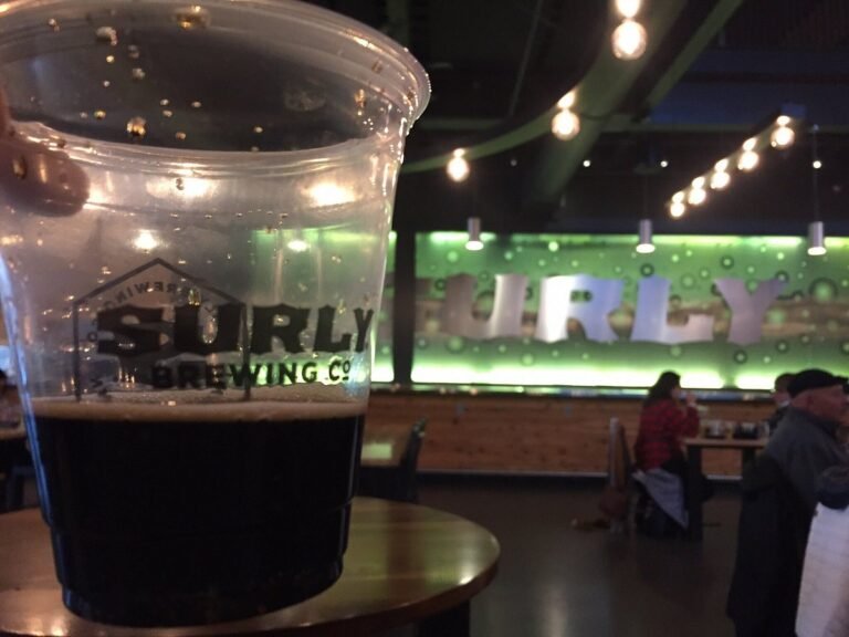 surly brewery tasting tour 768x576