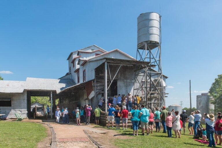 texas cotton gin museum 768x513