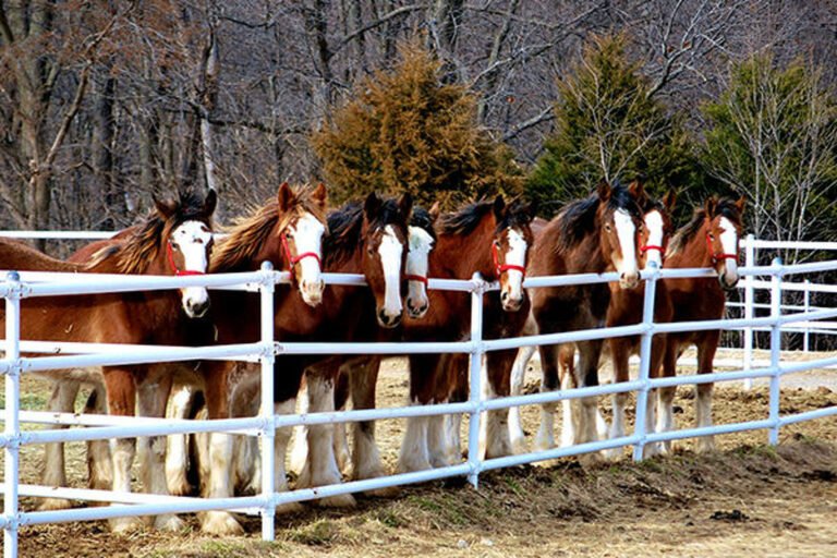 tour warm springs rach 768x512