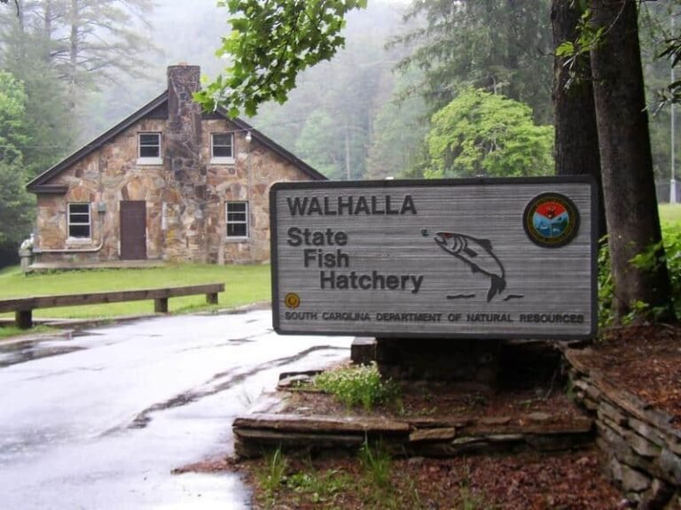 walhalla fish hatchery tour 768x576