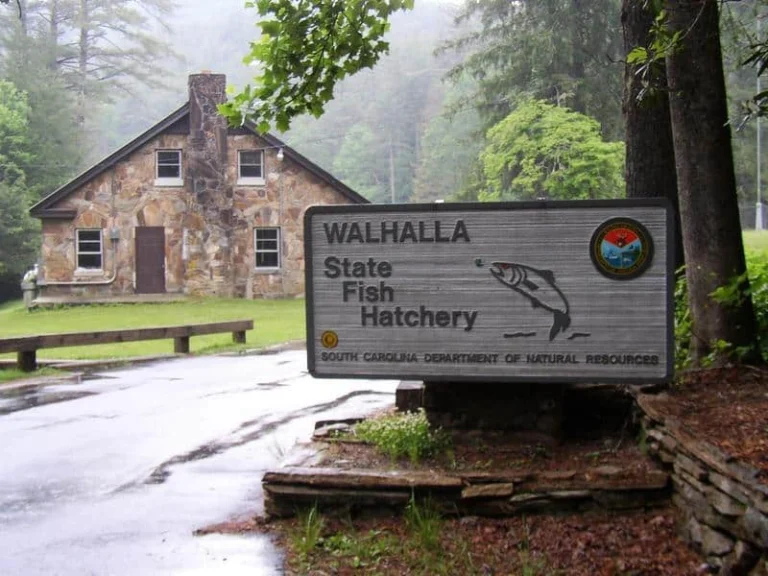 Factory Tours in South Carolina 35 walhalla fish hatchery tour 768x576