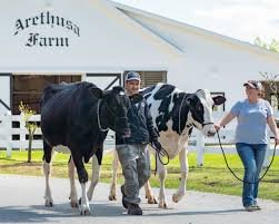 arethusa farms dairy