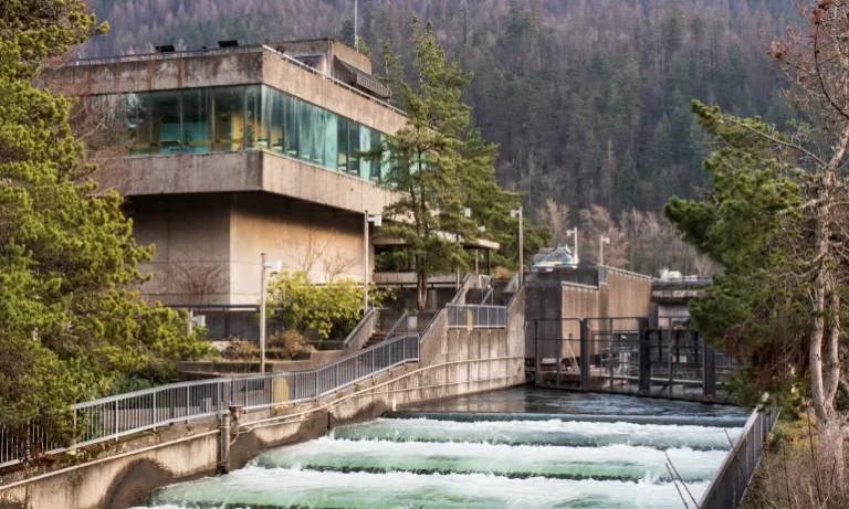bonneville dam tour 768x461