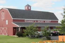 chaneys dairy barn farm tour