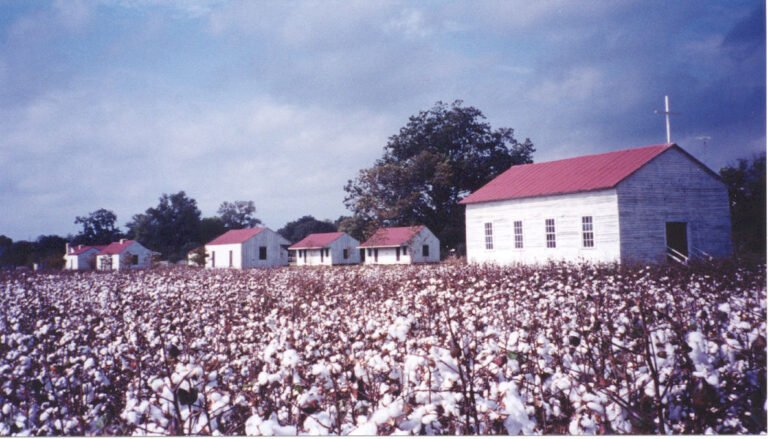 frogmore cotton plantation gin tour 768x439