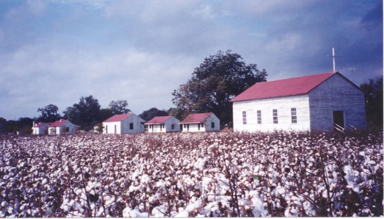 frogmore cotton plantation gin tour 768x439
