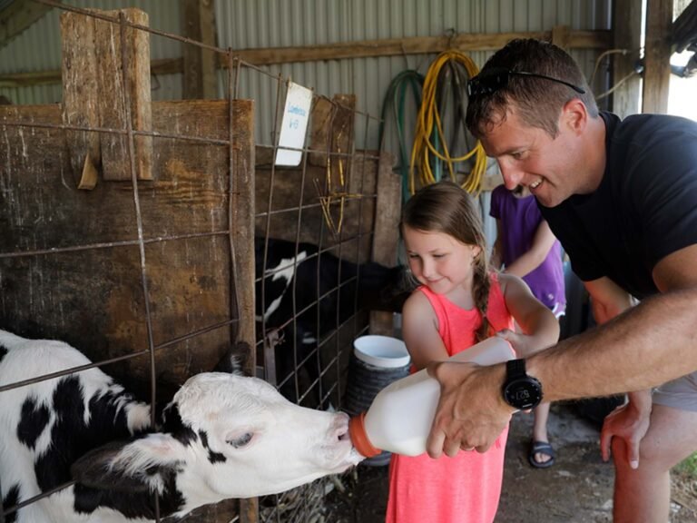 hansens farm fresh dairy tour 768x576