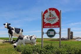 Factory Tours in Iowa 25 hansens farm fresh dairy tour
