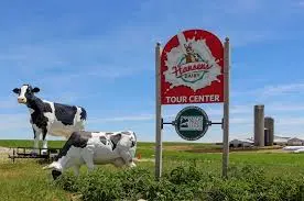 hansens farm fresh dairy tour