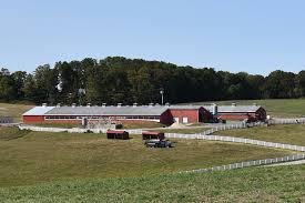 horsebarn hill uconn animal tour